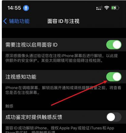 泰安苹果14维修网点分享iPhone14注视感知功能有什么用 